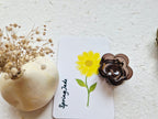 ROSE HAIRCLIP